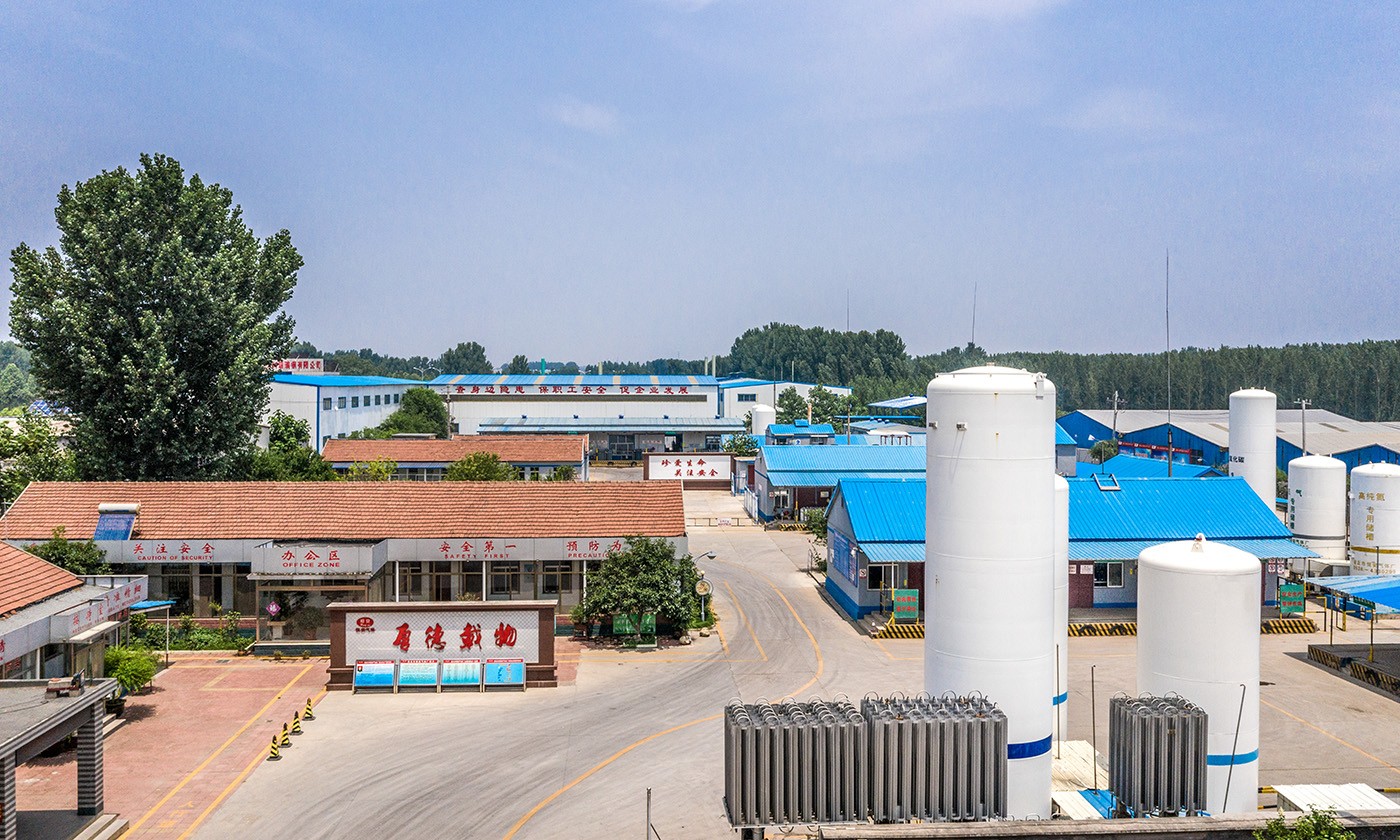 公司全景